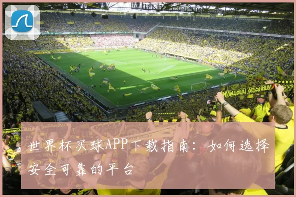 世界杯买球APP下载指南：如何选择安全可靠的平台