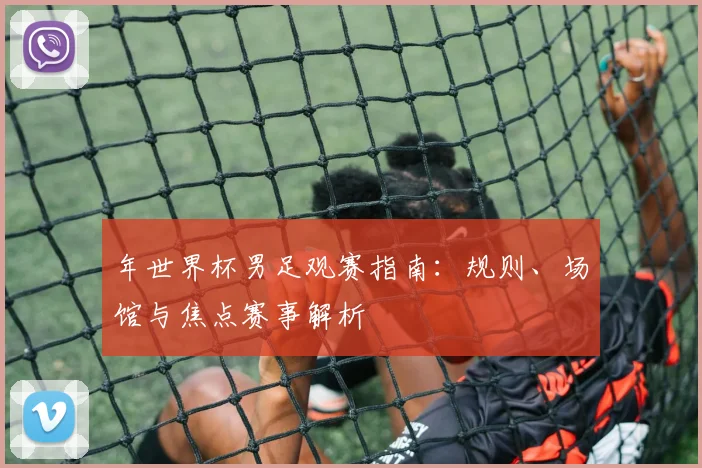 年世界杯男足观赛指南：规则、场馆与焦点赛事解析