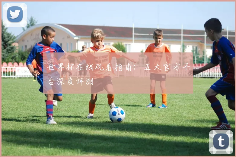 世界杯在线观看指南：五大官方平台深度评测