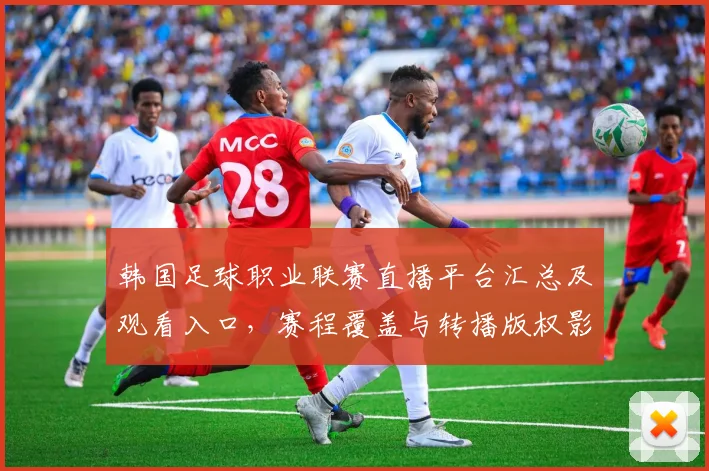 韩国足球职业联赛直播平台汇总及观看入口，赛程覆盖与转播版权影响分析