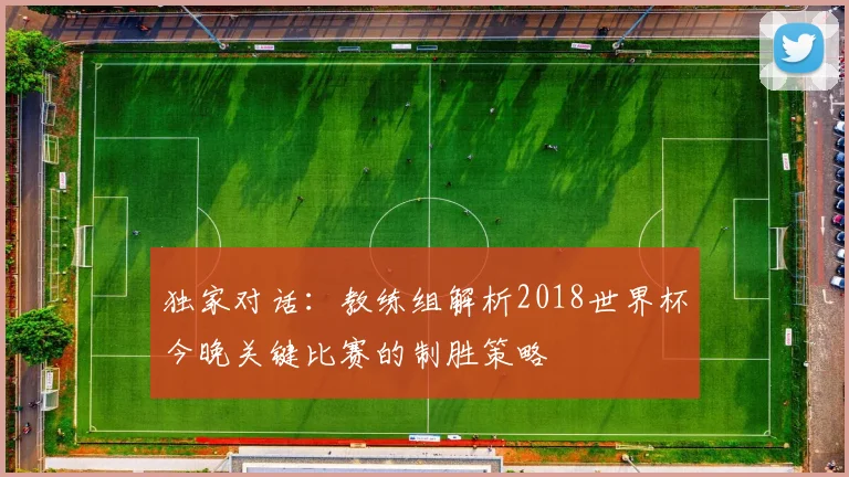 独家对话：教练组解析2018世界杯今晚关键比赛的制胜策略
